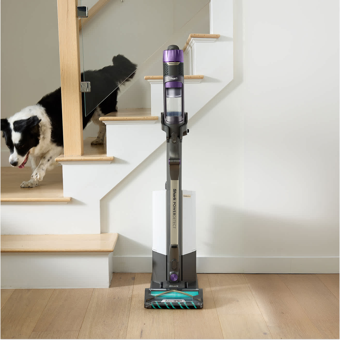 Shark PowerDetect cordless vacuum on the charging dock with a dog walking down the stairs in the background