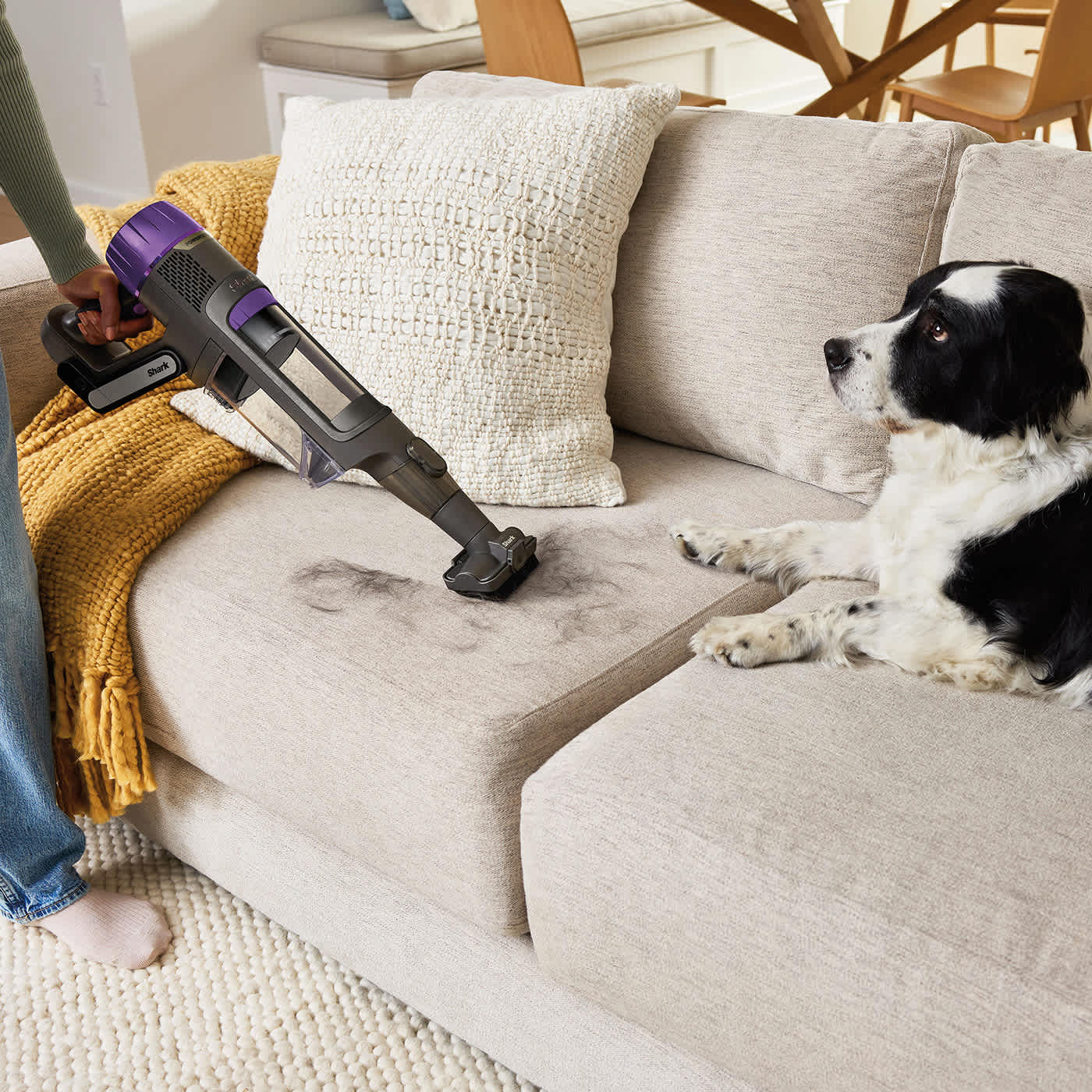 Woman using the Shark PowerDetect handheld mode to pick up dog hair on a sofa